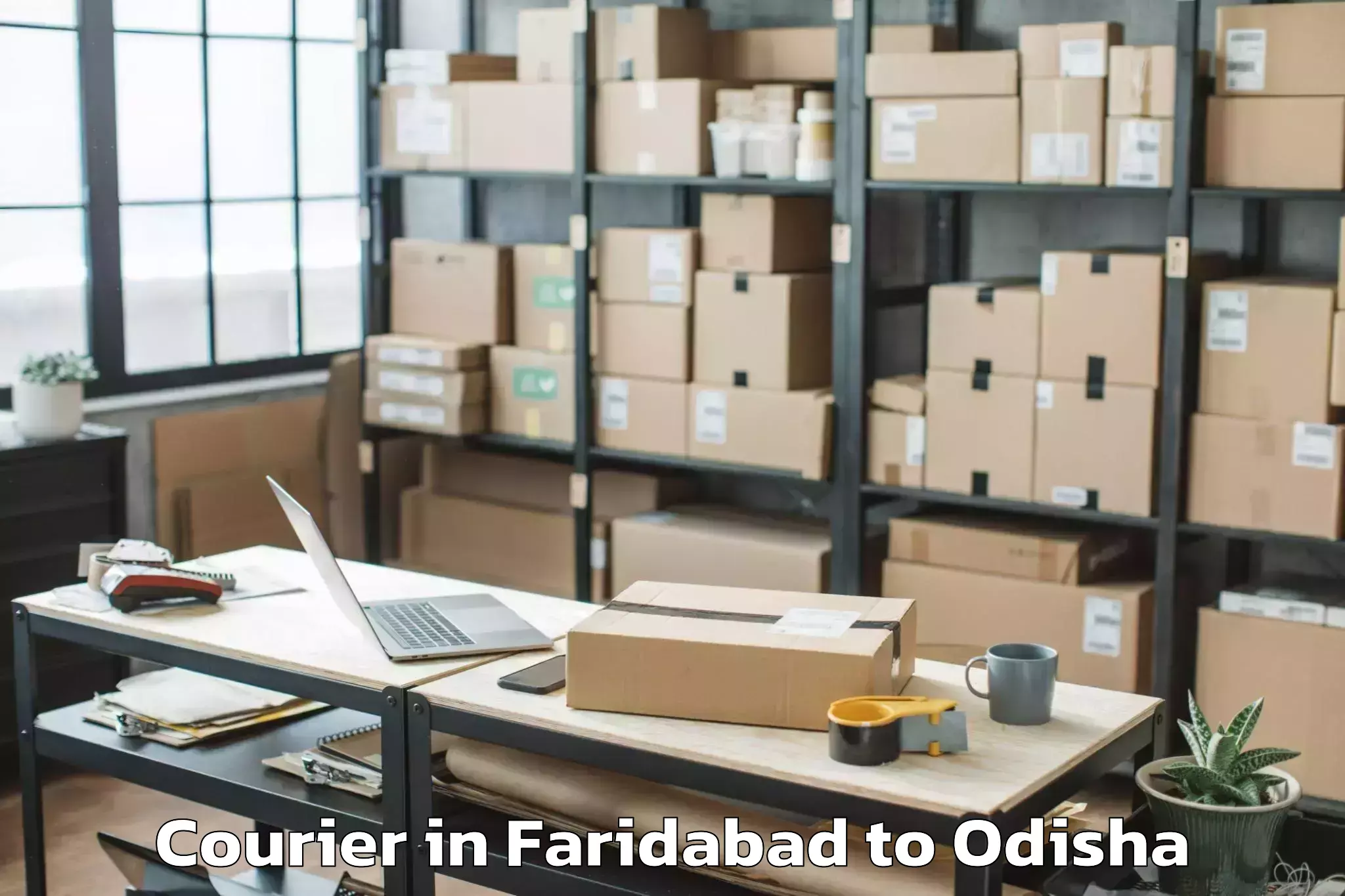 Leading Faridabad to Odagaon Courier Provider